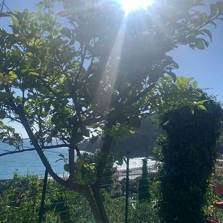 博纳索拉Cozy Beach House With Nice Garden, Basic Feel公寓 外观 照片