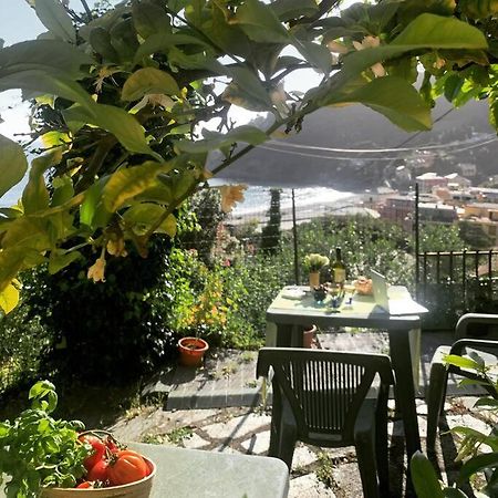 博纳索拉Cozy Beach House With Nice Garden, Basic Feel公寓 外观 照片
