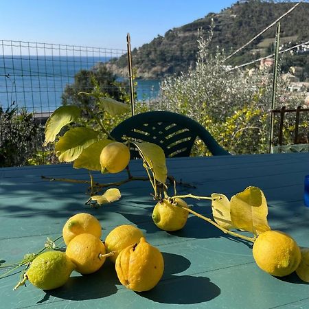 博纳索拉Cozy Beach House With Nice Garden, Basic Feel公寓 外观 照片