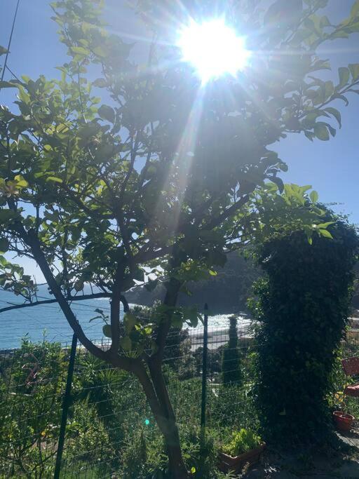 博纳索拉Cozy Beach House With Nice Garden, Basic Feel公寓 外观 照片