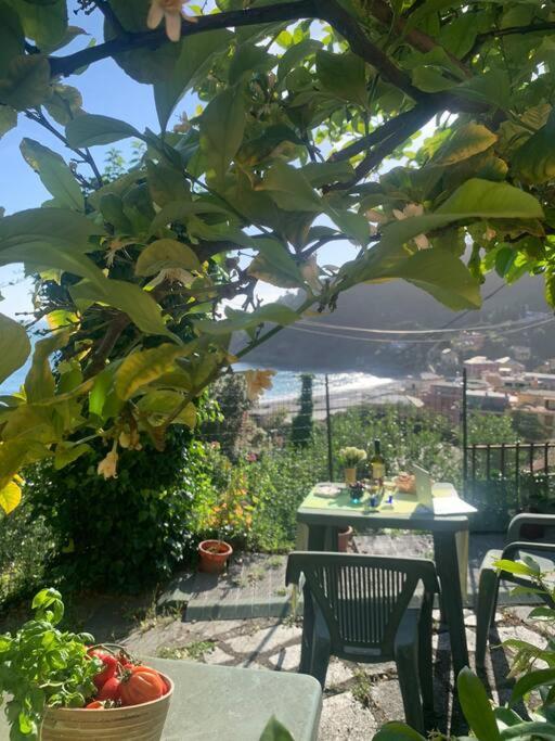 博纳索拉Cozy Beach House With Nice Garden, Basic Feel公寓 外观 照片