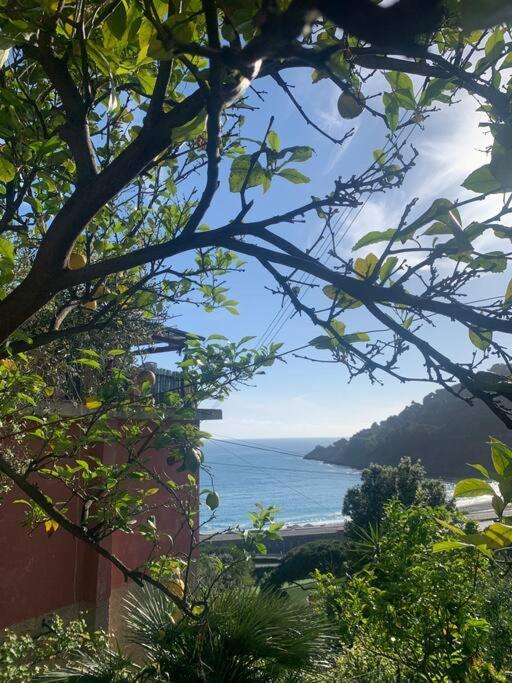 博纳索拉Cozy Beach House With Nice Garden, Basic Feel公寓 外观 照片
