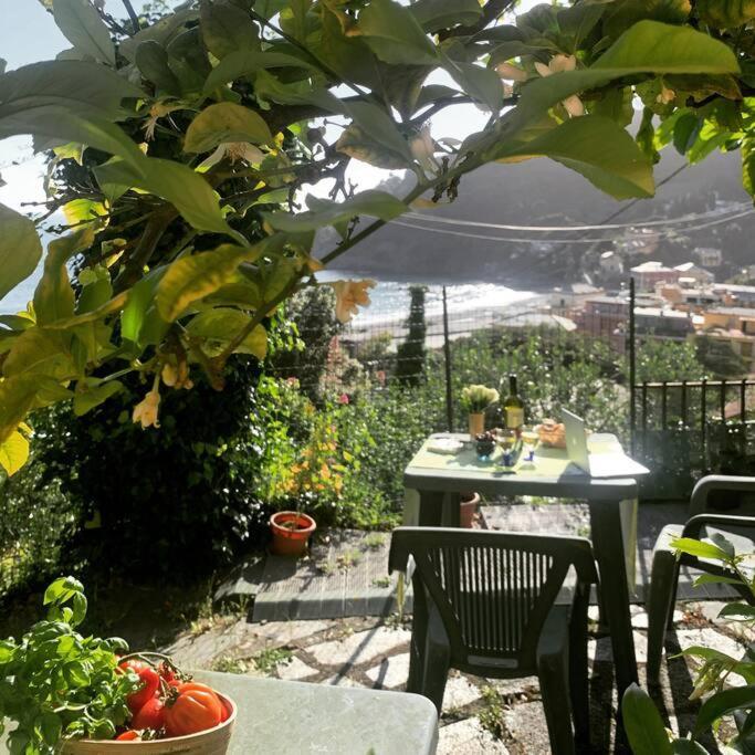 博纳索拉Cozy Beach House With Nice Garden, Basic Feel公寓 外观 照片