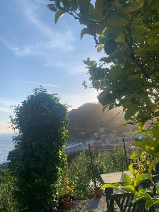 博纳索拉Cozy Beach House With Nice Garden, Basic Feel公寓 外观 照片