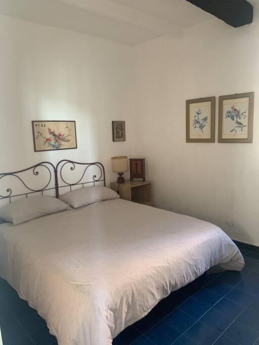 博纳索拉Cozy Beach House With Nice Garden, Basic Feel公寓 外观 照片