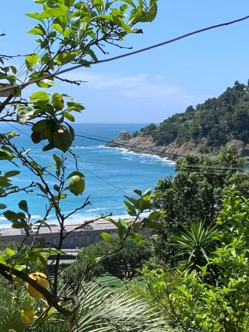 博纳索拉Cozy Beach House With Nice Garden, Basic Feel公寓 外观 照片