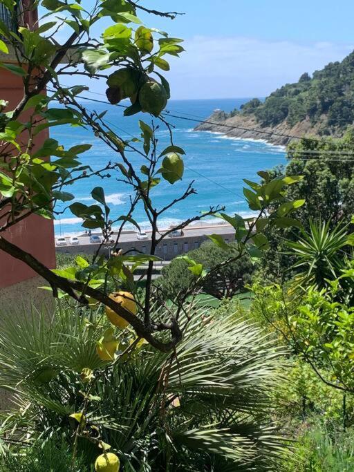 博纳索拉Cozy Beach House With Nice Garden, Basic Feel公寓 外观 照片